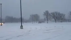Whippin shitties