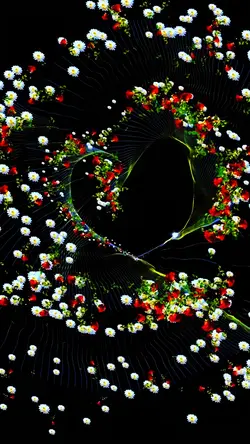 Flower Effects
