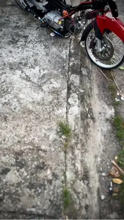 Mẫu xe 1 video + màu
