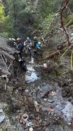 adrenaline