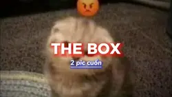 THE BOX