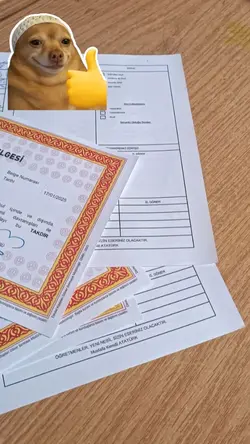 Takdir  Belgesi