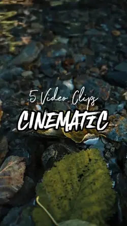 5 Video Clips