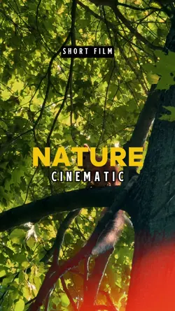 Nature Cinematic