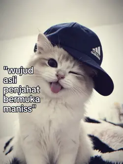 wujud asli