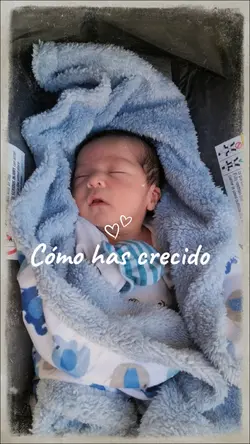 Cómo has crecido
