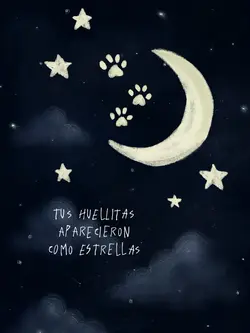Tus huellitas ❤️🩹🐾🕊️✨🌙