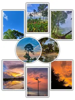 8Pic Grid Aesthetic