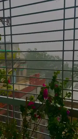 Rainy Days
