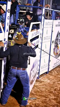 Rodeio modao