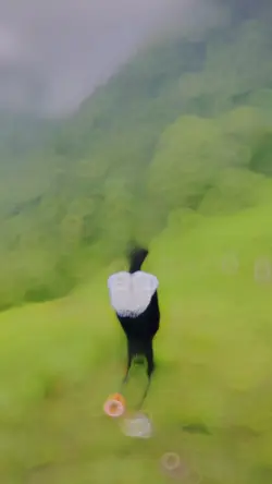Khoya khoya