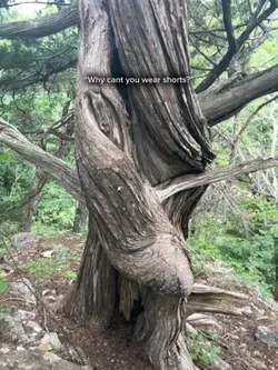oopsie🤷‍♀️