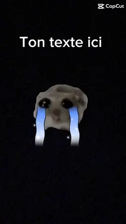 Hamster triste 😞 