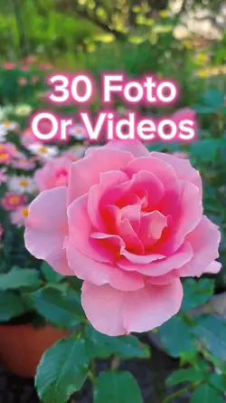 30 Video Slides