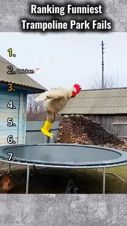 Funniest Trampoline