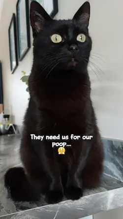 Chocolate recipe...
