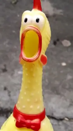 Manok na pula greeti