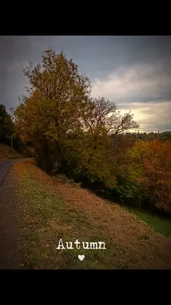 Autumn 