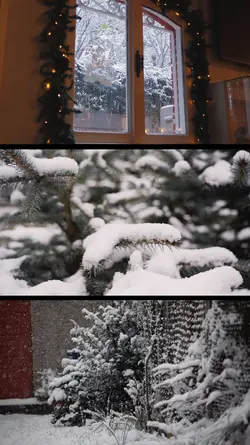 Winter 2026 |3