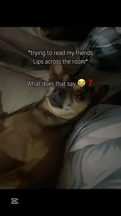 ❓❓❓