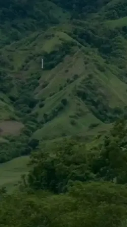 nature lover