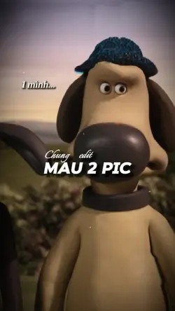 Mẫu 2 ảnh
