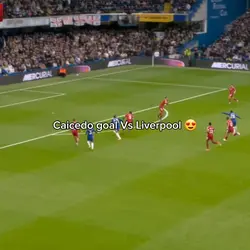 caicedo free edit