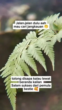 fb pro fyp