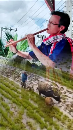 ภาพซ้อนท้องทุ่งนา