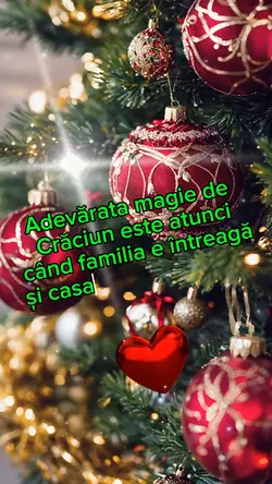 Acasă De Crăciun.
