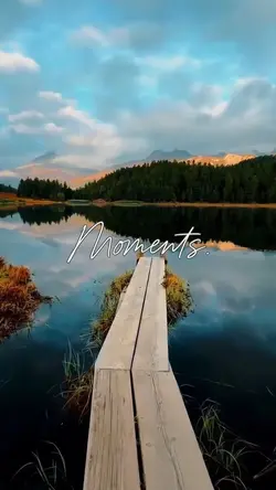 Nature vibes