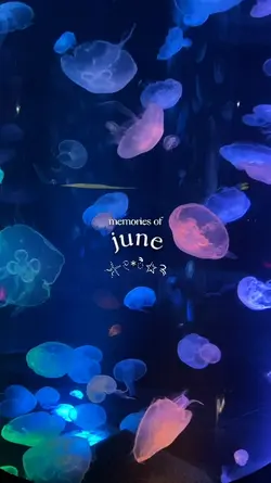 memories of june
