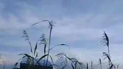 langit