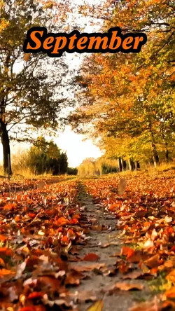 September’s Embrace 