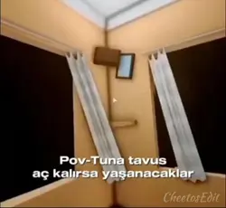 tuna tavus aç kalmağ