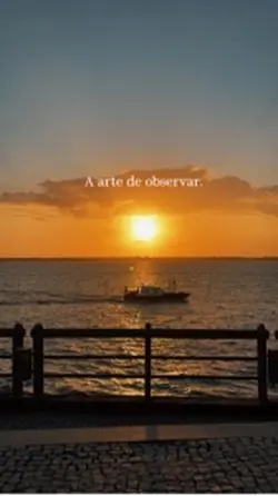 A arte de observar.