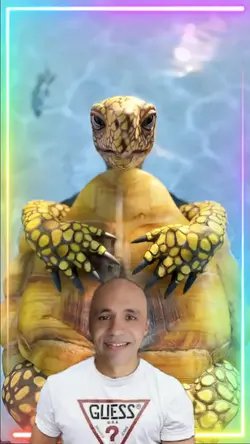 Singing turtle