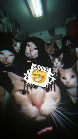 cihuy