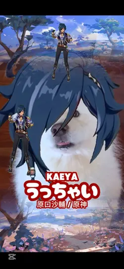UTCHEI KAEYA