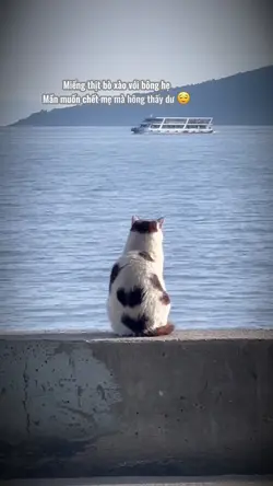 Hông thấy dư