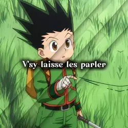 vsy laisse les parle