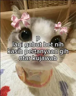 Gabut wee