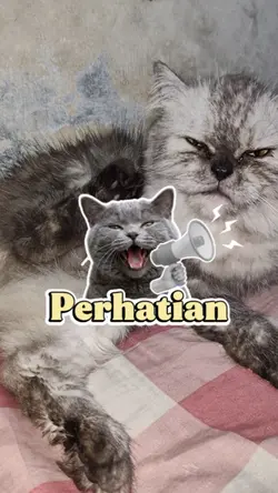 review Produk