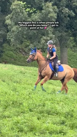 Such a good horse ❤️❤️