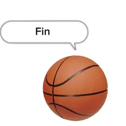 Fin