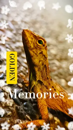 GOLDEN MEMORIES 