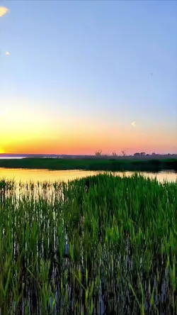 Dzień przerwy 