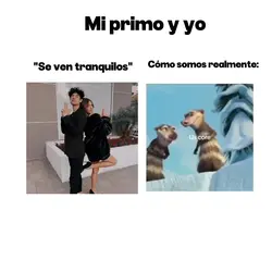 Mi primo y yo 