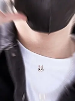 Transisi 🐰