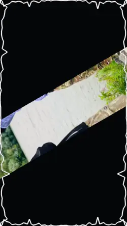 🫂🫀